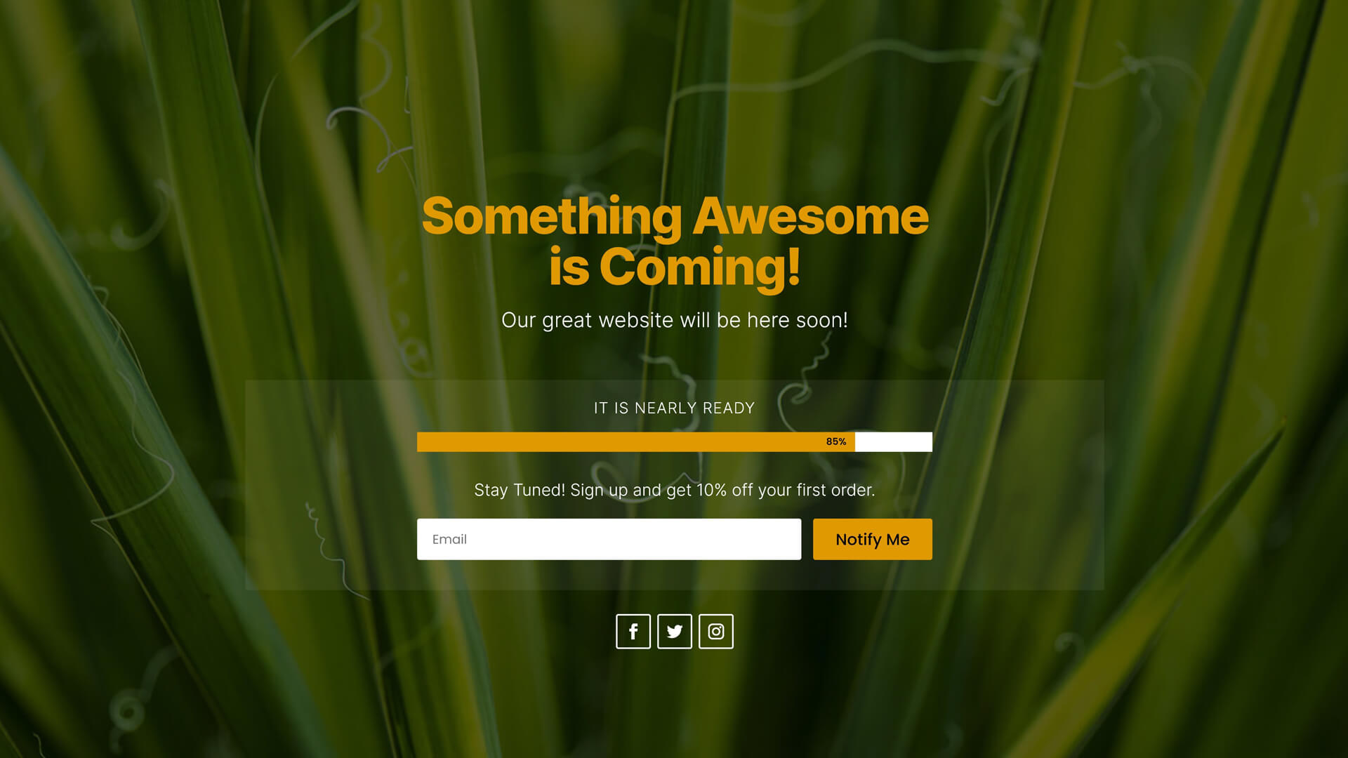 Coming soon page Green by Divi.Expert